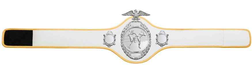 THAI BOXING CHAMPIONSHIP BELT - PRO288/S/TBOS - 10 COLOURS THAI BOXING CHAMPIONSHIP BELT - PRO288/S/TBOS - 10 COLOURS
